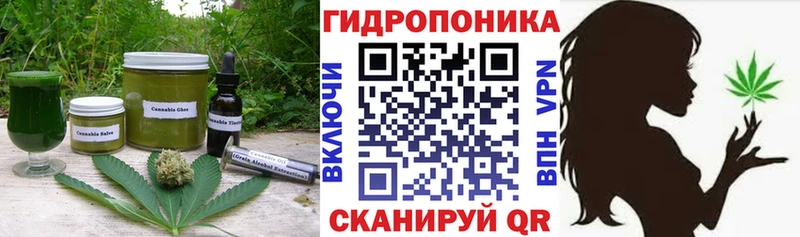 кракен ССЫЛКА  Волосово  Cannafood марихуана 