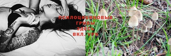 метадон Беломорск