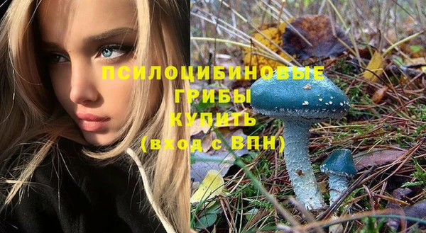 Альфа ПВП Белокуриха