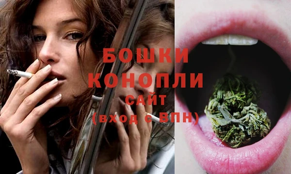 Альфа ПВП Белокуриха