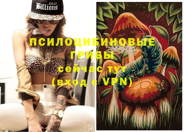 Альфа ПВП Белокуриха