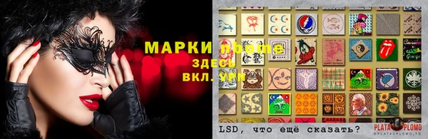 Альфа ПВП Белокуриха