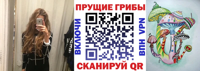 гидра зеркало  Волосово  Псилоцибиновые грибы Psilocybine cubensis  где купить наркоту 